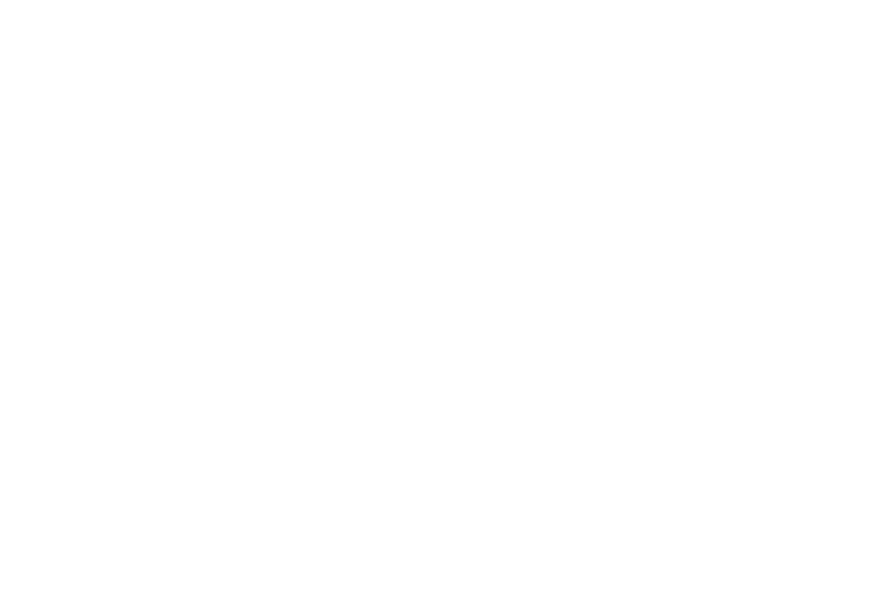 GitarisINA